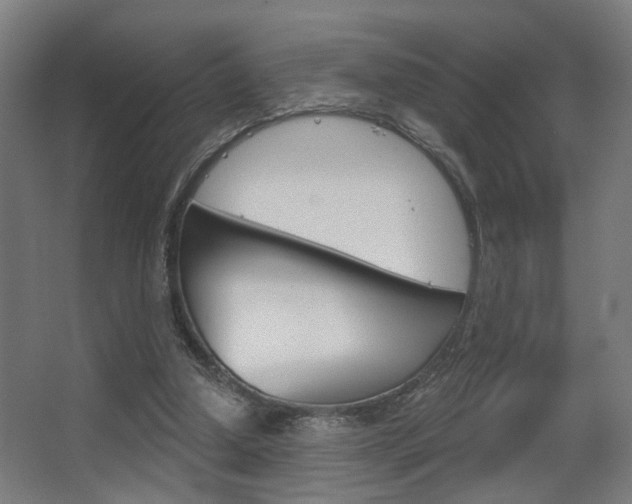 X0000063480250200601201032