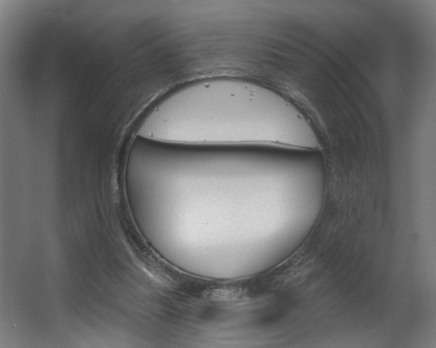 X0000063480251200601201032
