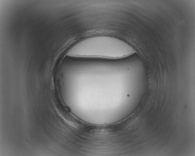 X0000063480254200601201032