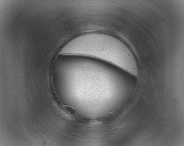 X0000063480257200601201032