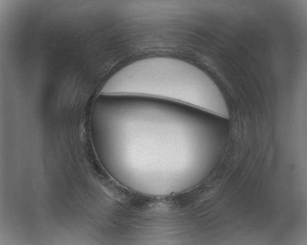 X0000063480259200601201032