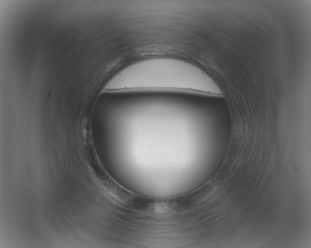 X0000063480264200601201032
