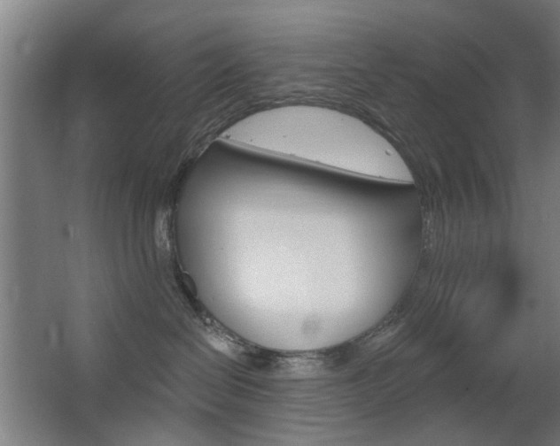 X0000063480286200601201033