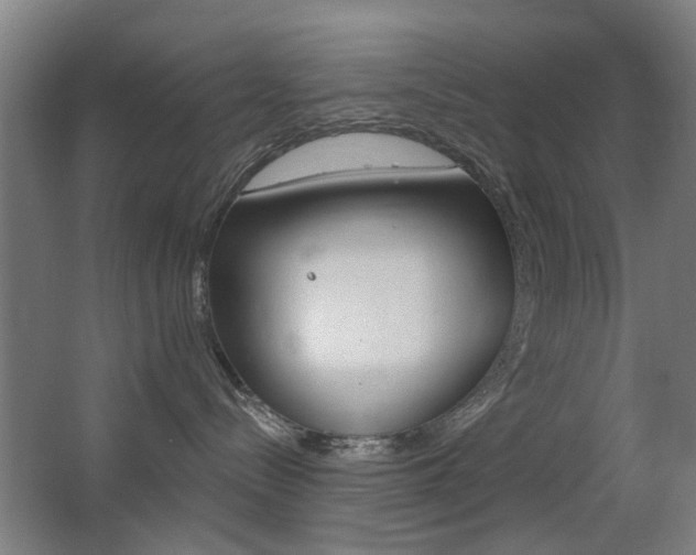 X0000063480288200601201033
