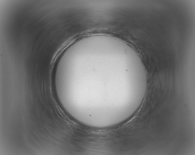 X0000063480293200601201032