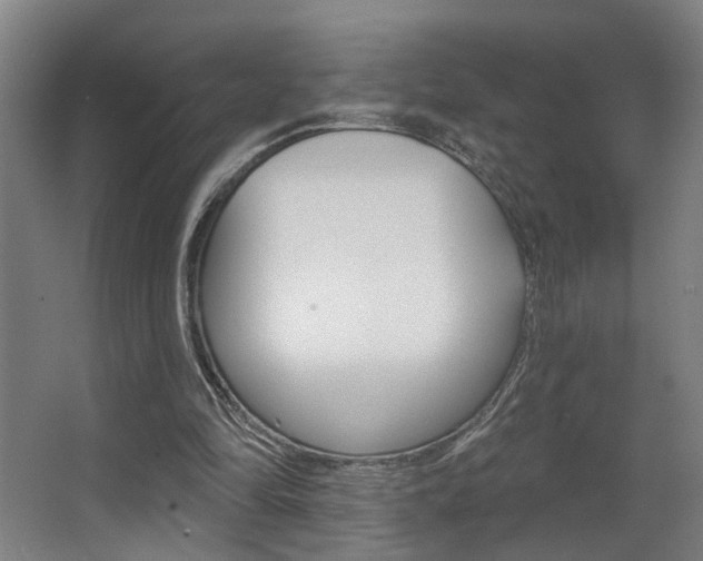 X0000063480294200601201032