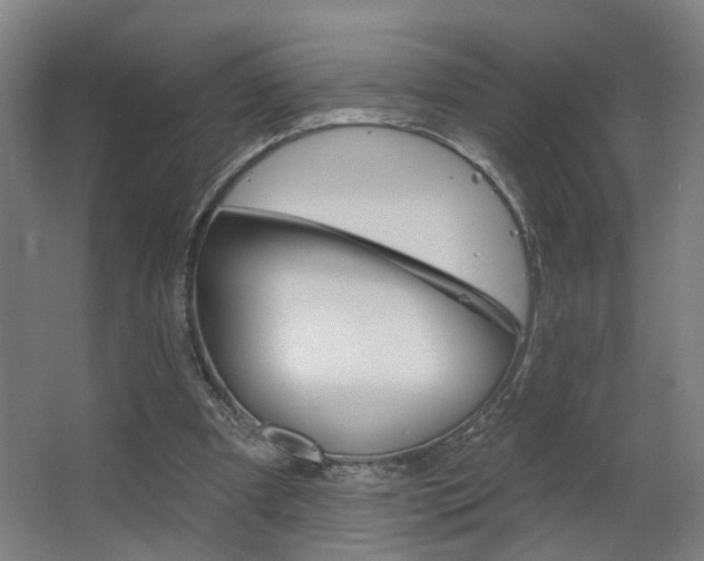 X0000063480297200601201032
