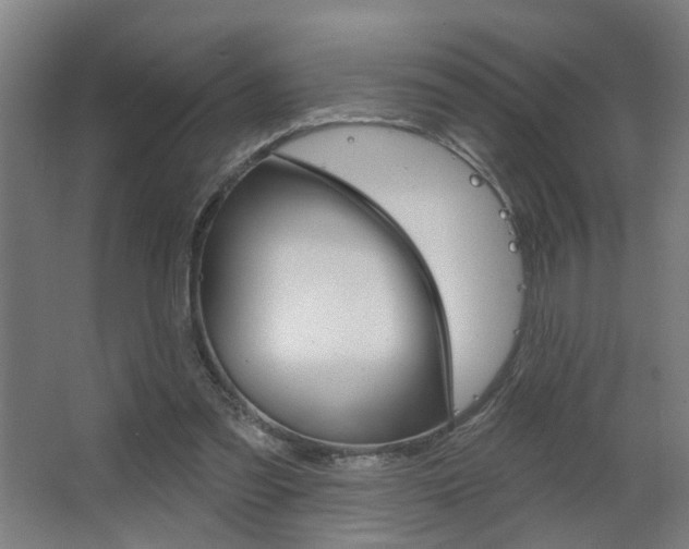 X0000063480301200601201032