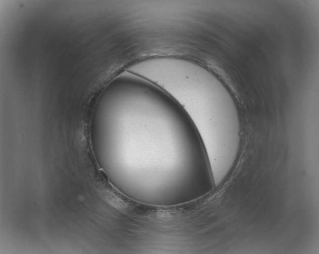 X0000063480305200601201032