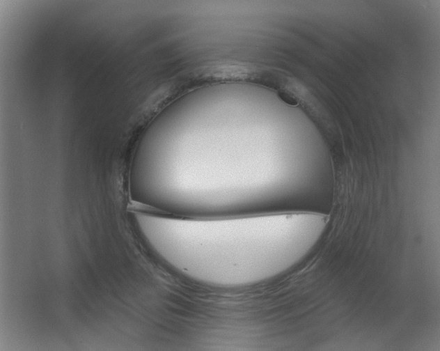 X0000063480309200601201032
