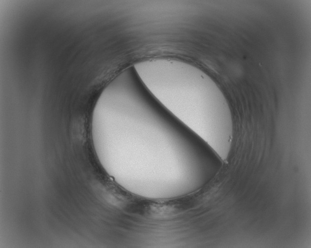 X0000063480311200601201032