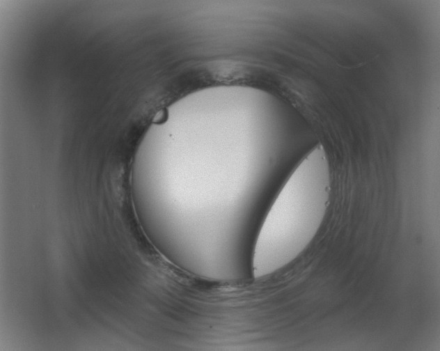 X0000063480319200601201031