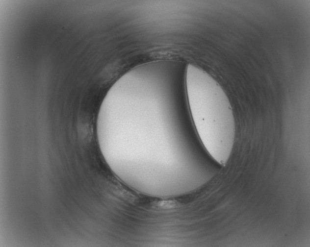 X0000063480324200601201031