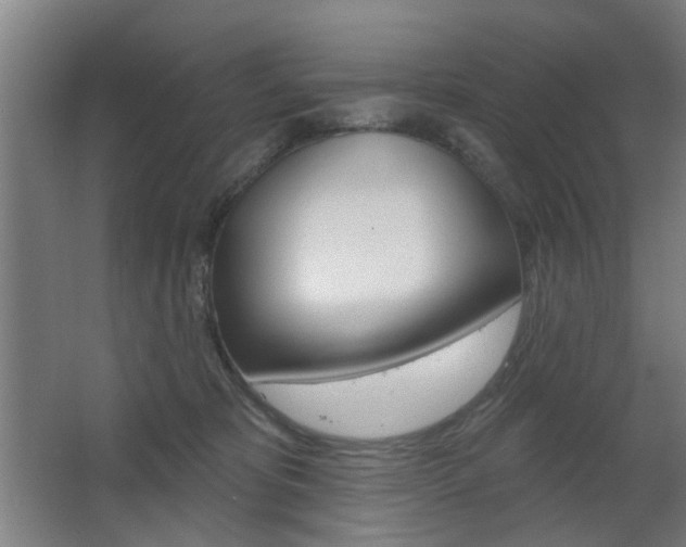 X0000063480325200601201031