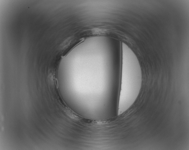 X0000063480329200601201031