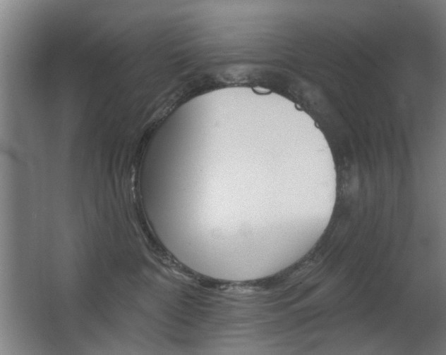X0000063480332200601201031
