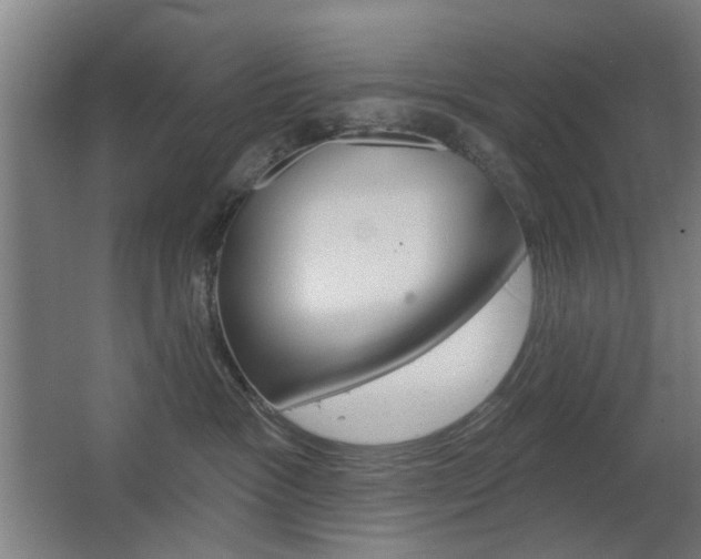 X0000063480333200601201031
