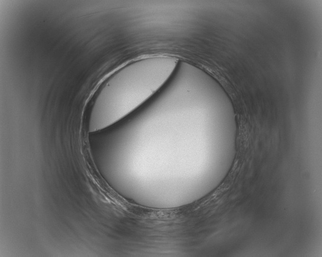 X0000063480338200601201030
