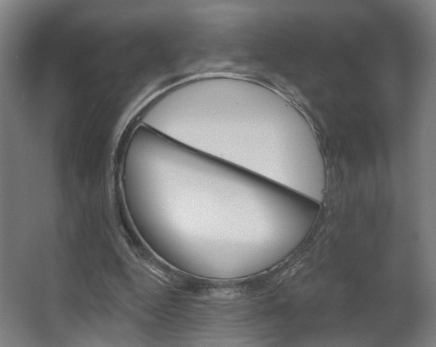 X0000063480344200601201031