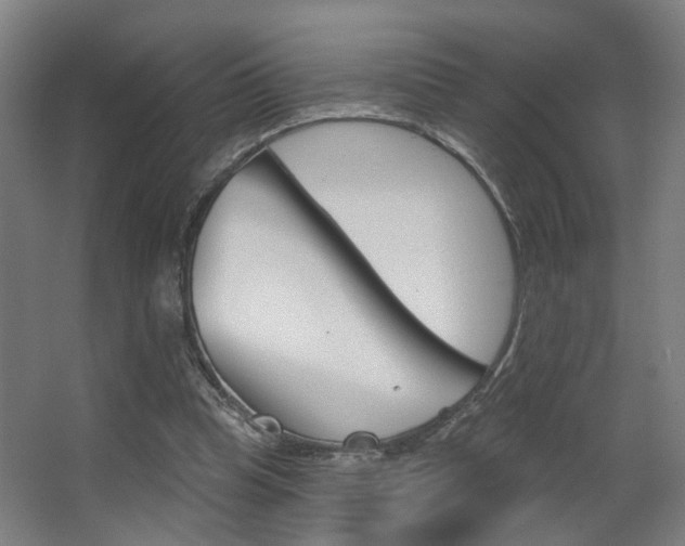 X0000063480345200601201031