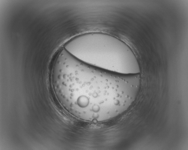 X0000063480346200601201031