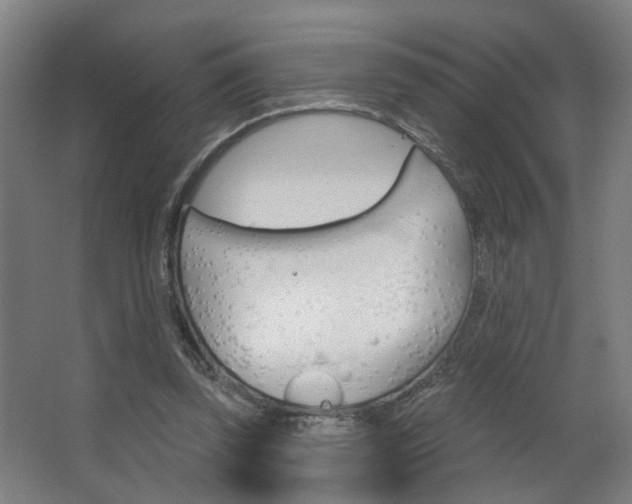 X0000063480347200601201031