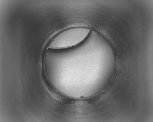 X0000063480348200601201031
