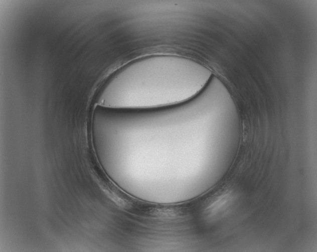 X0000063480349200601201031