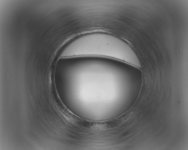 X0000063480350200601201031