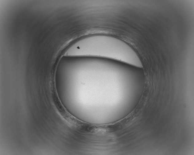 X0000063480352200601201031