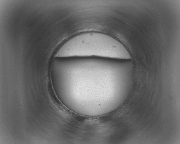 X0000063480354200601201031