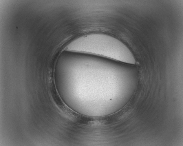 X0000063480356200601201031