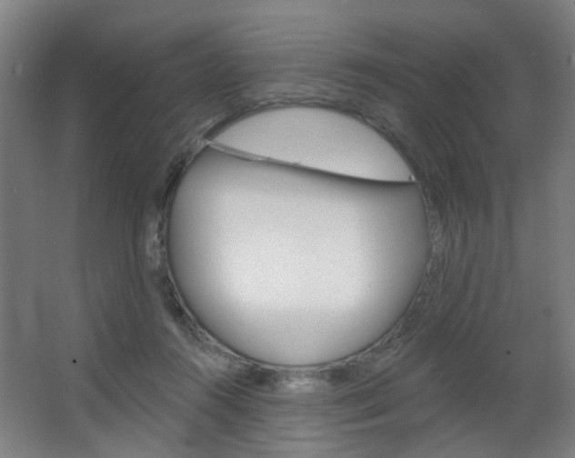 X0000063480360200601201031