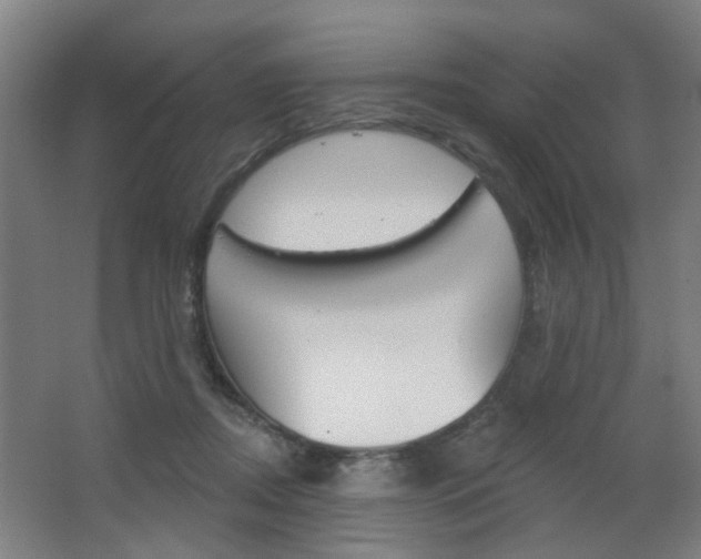 X0000063480362200601201031