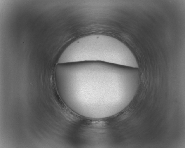 X0000063480363200601201031