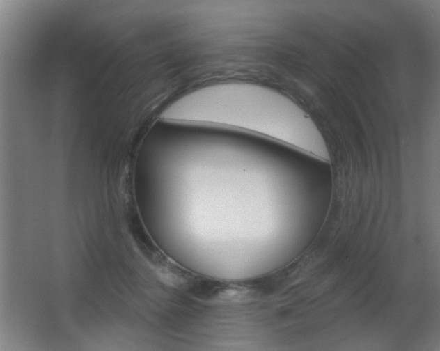 X0000063480364200601201031