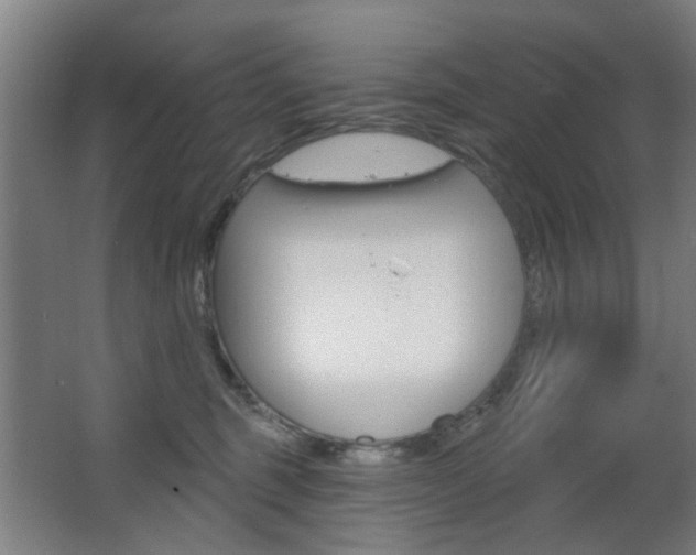 X0000063480375200601201031
