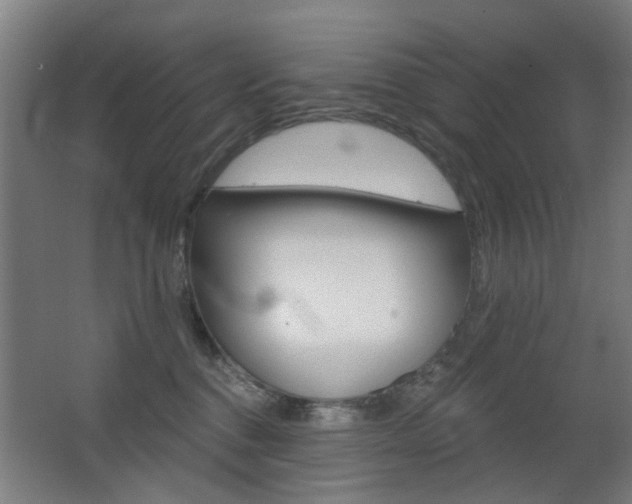 X0000063480376200601201031