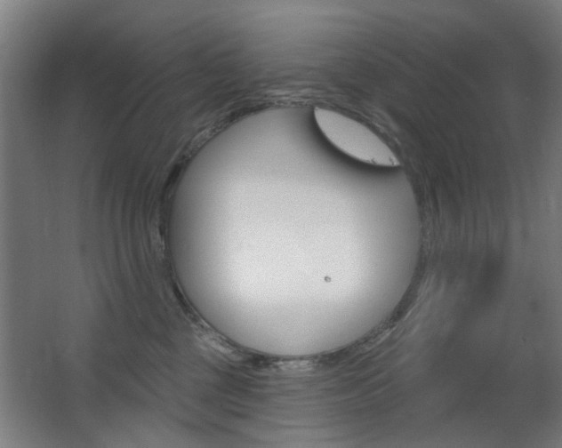 X0000063480377200601201031