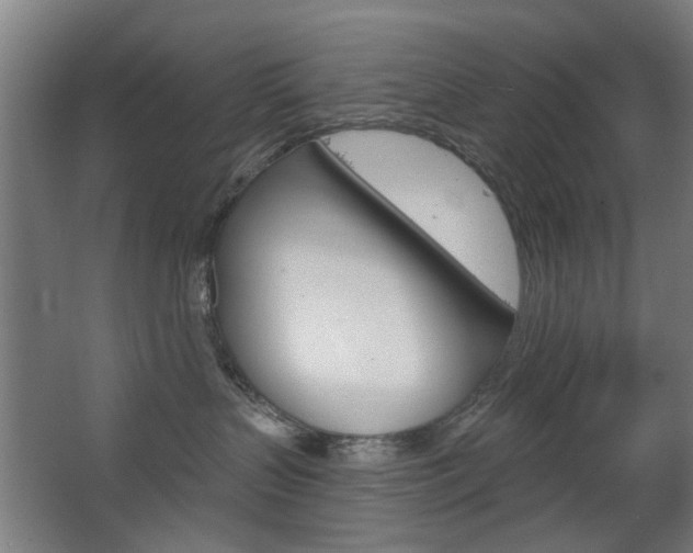 X0000063480383200601201031