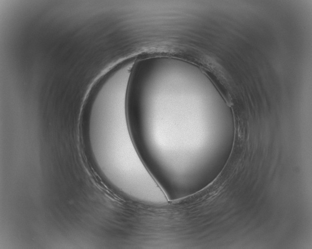 X0000063480388200601201030