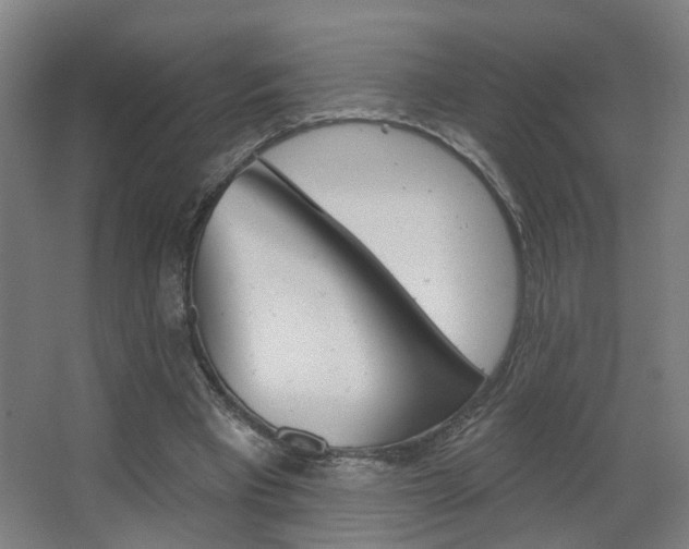X0000063480393200601201030