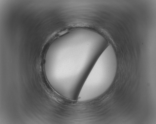 X0000063480395200601201030