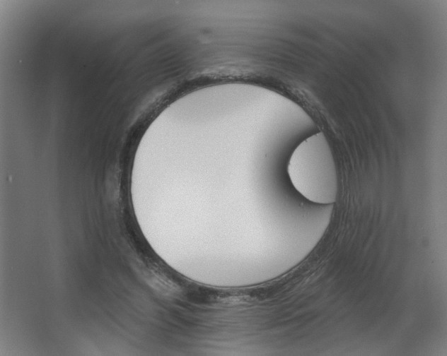 X0000063480396200601201030