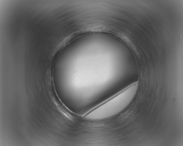 X0000063480397200601201030
