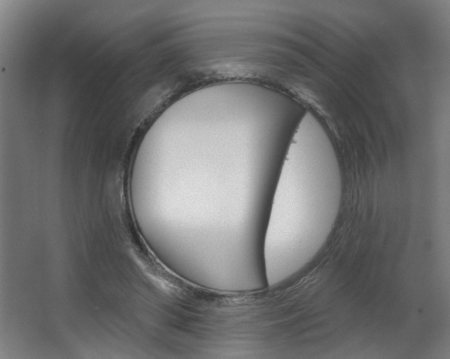 X0000063480398200601201030