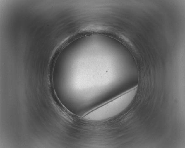 X0000063480399200601201030