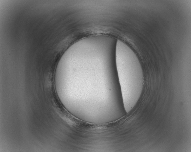 X0000063480402200601201030
