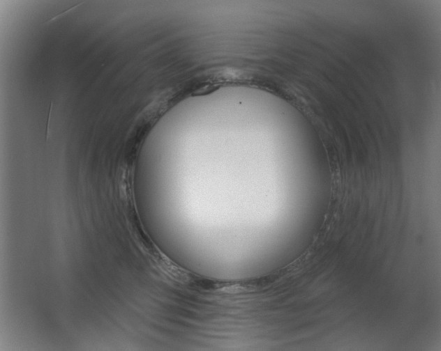 X0000063480423200601201030