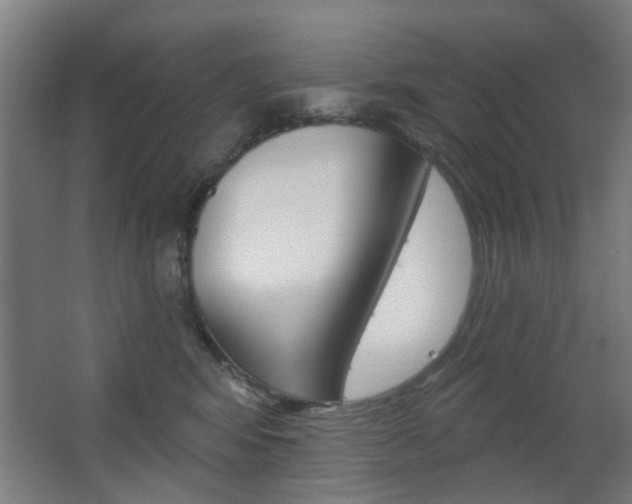 X0000063480424200601201030